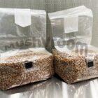 MushVroom Rye Berry Grain Bag for Growing Mushrooms